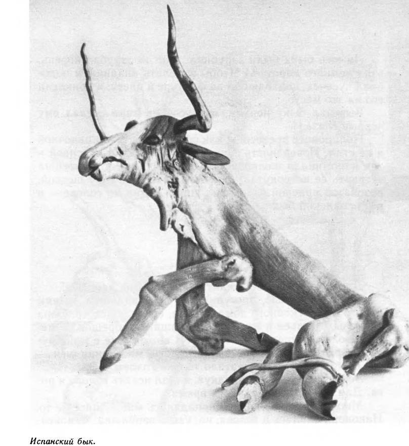 Лесные диковины - _31.jpg