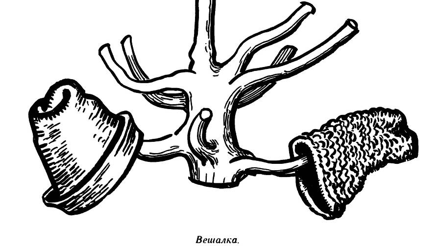 Лесные диковины - _22.jpg