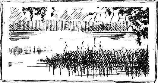 У шоссейной дороги (сборник) - img_3.jpeg