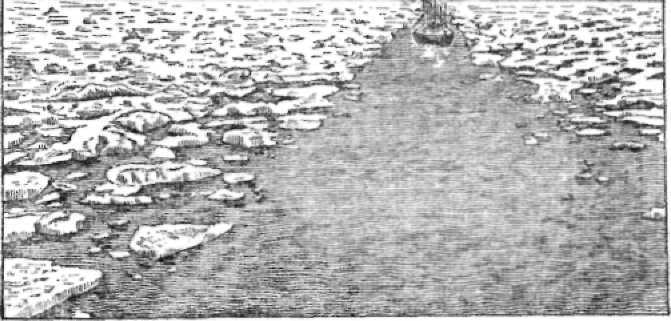 Моря и океаны - image_013.jpg