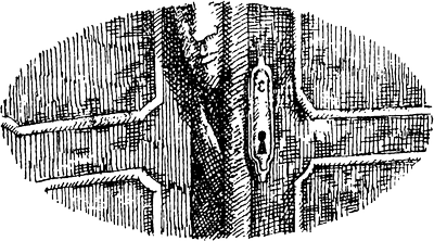 Неприкасаемые (другой перевод) - i_006.png