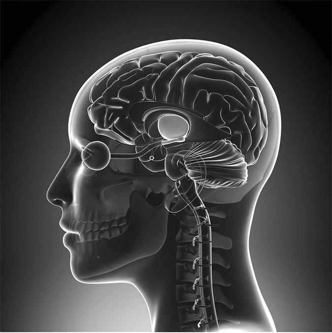 Код бессмертия. Правда и мифы о вечной жизни - i_001.jpg