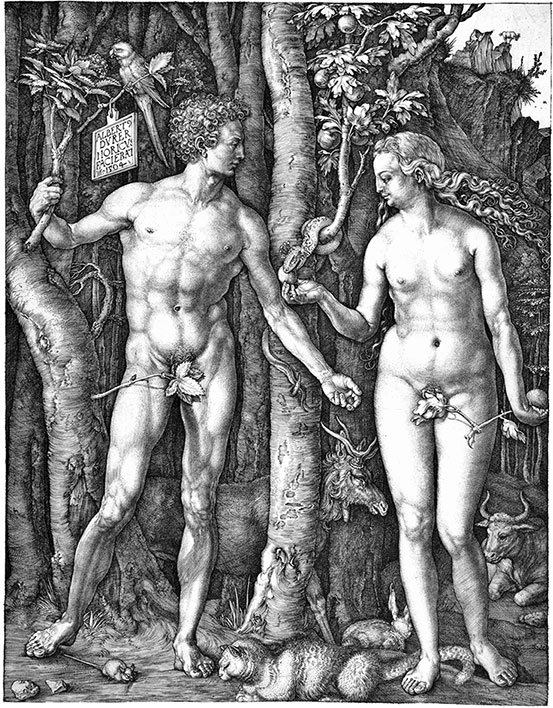 Код бессмертия. Правда и мифы о вечной жизни - i_033.jpg