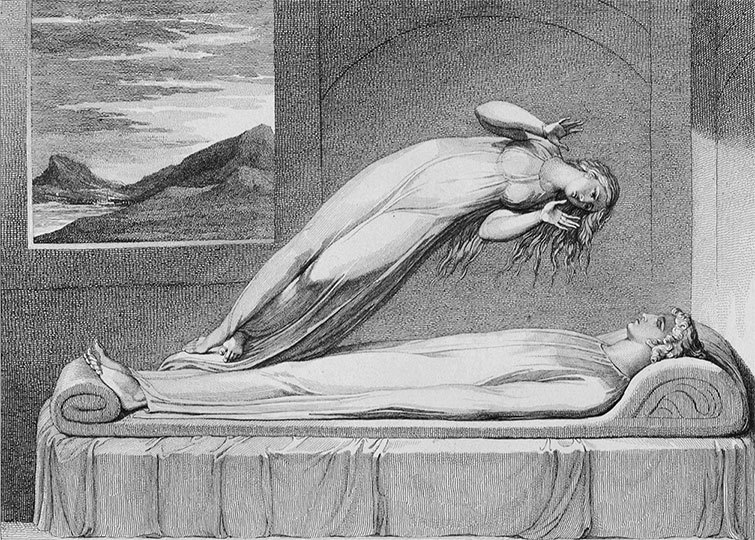 Код бессмертия. Правда и мифы о вечной жизни - i_037.jpg