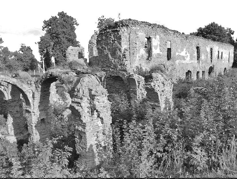 Код бессмертия. Правда и мифы о вечной жизни - i_041.jpg