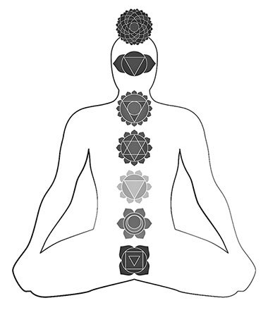 Код бессмертия. Правда и мифы о вечной жизни - i_048.jpg