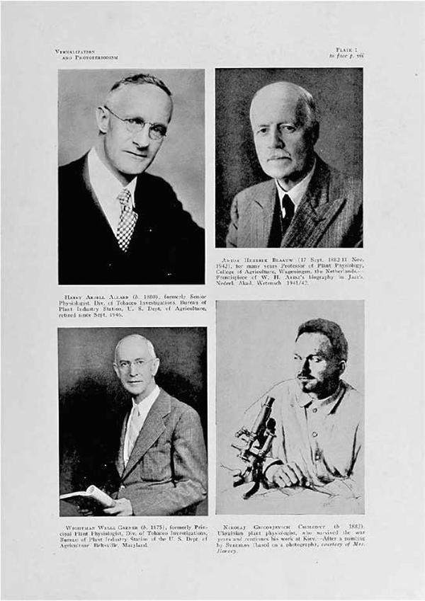 Неизвестный Лысенко - i_004.jpg