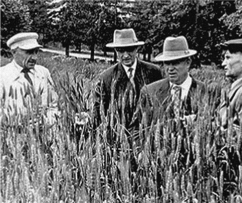 Неизвестный Лысенко - i_020.jpg