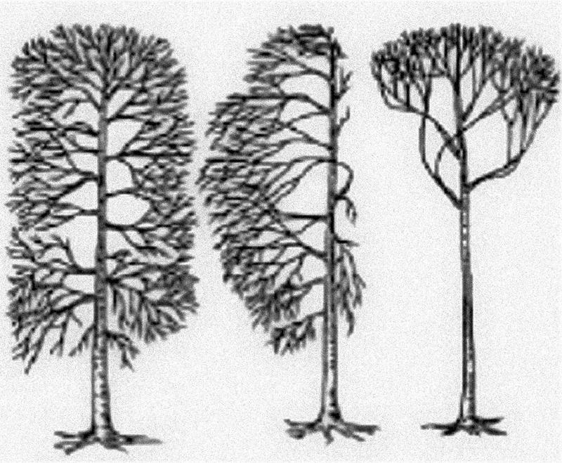 Неизвестный Лысенко - i_022.jpg