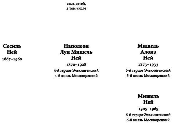 Маршал Ней: Храбрейший из храбрейших - i_003.png