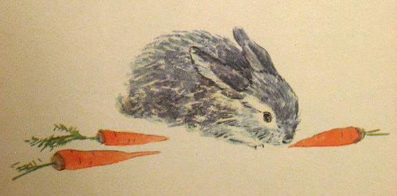 Молочный пальчик (Рассказы) - i_008.jpg