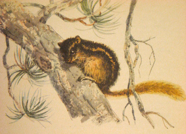 Молочный пальчик (Рассказы) - i_012.jpg