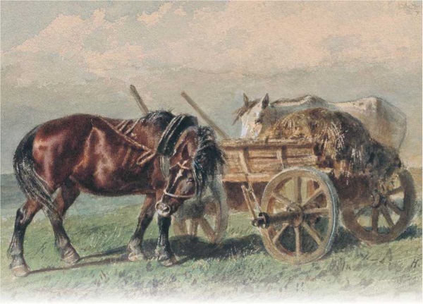 Интересные рассказы о животных - i_017.jpg