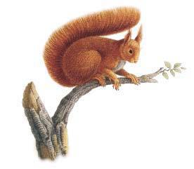 Интересные рассказы о животных - i_027.jpg