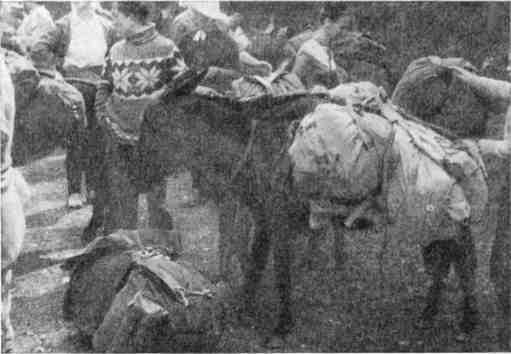 Перевал Бечо - _18.jpg