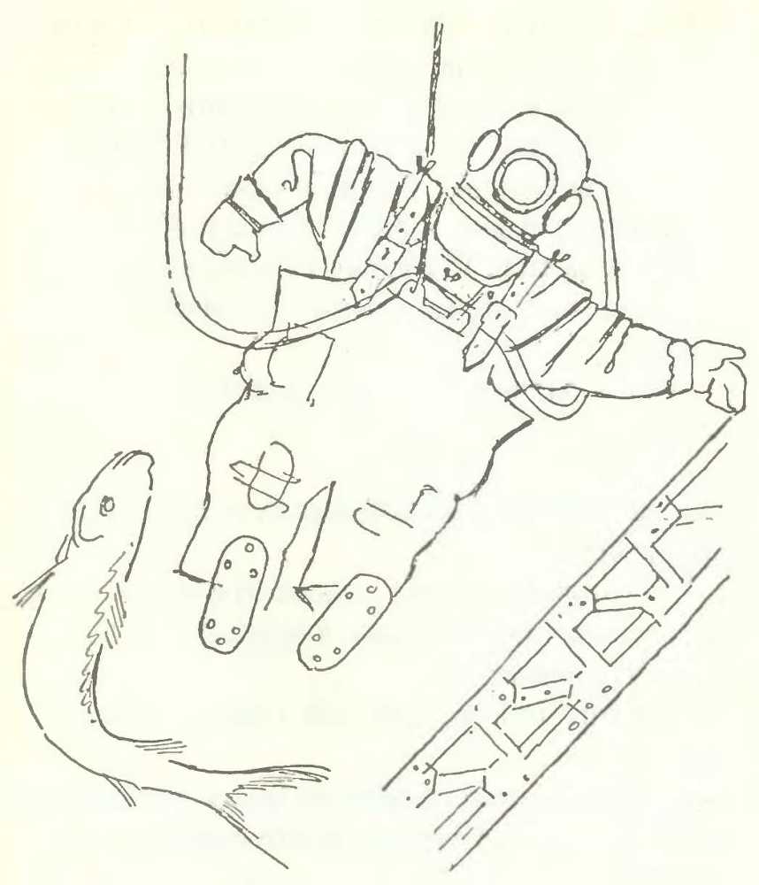 Три случая под водой - i_018.jpg