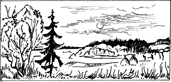 Юмористические рассказы - i_025.jpg