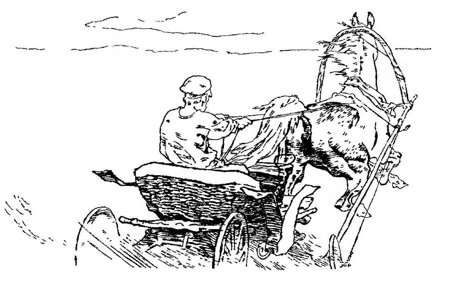 Разбойник и Мишка  - _2.jpg