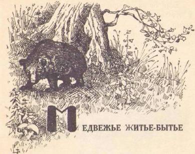 По зверю и птице - _1.jpg