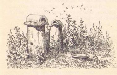 По зверю и птице - _4.jpg