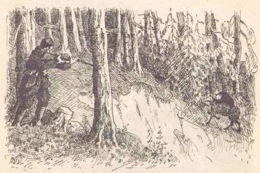 По зверю и птице - _7.jpg