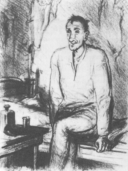 Жизнь и творчество М.Е. Салтыкова-Щедрина - _45.jpg