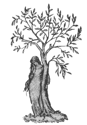 Время и боги: рассказы - i_014.png