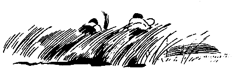 Назарка-атаман - pic_11.png