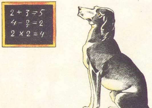 В зверинце Дурова - _7.jpg