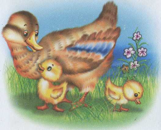 Крошка - ручеёк - _27.jpg