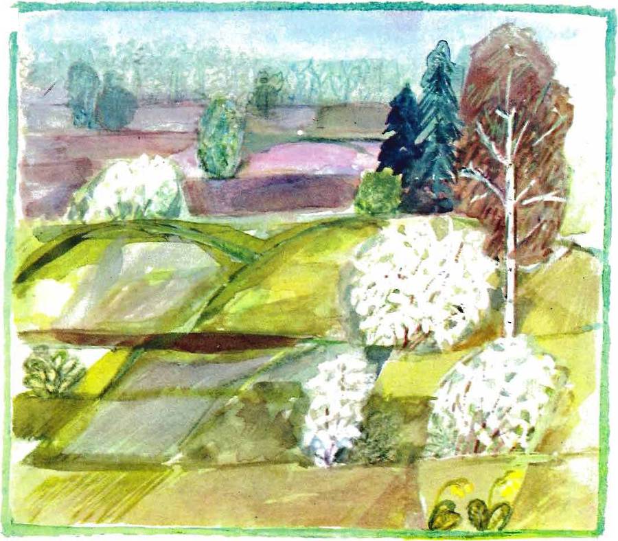 Солнце на дорожке - _22.jpg