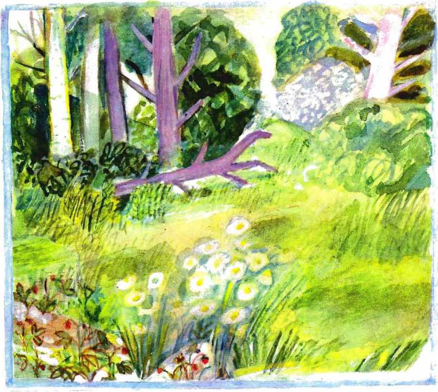 Солнце на дорожке - _27.jpg