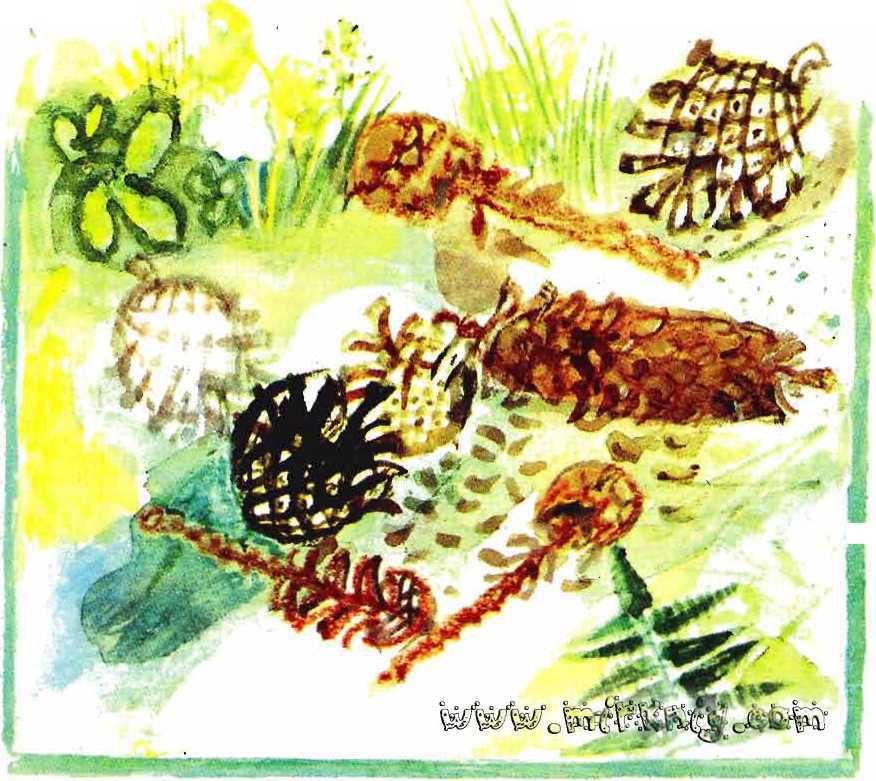 Солнце на дорожке - _37.jpg