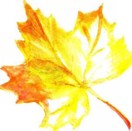 Солнце на дорожке - _41.jpg