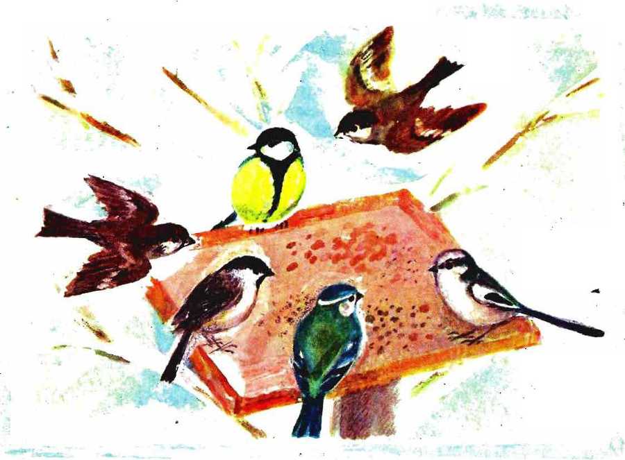 Солнце на дорожке - _53.jpg