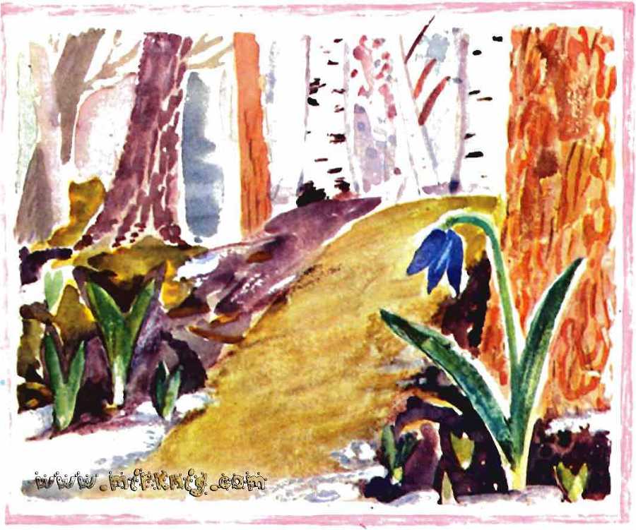 Солнце на дорожке - _8.jpg