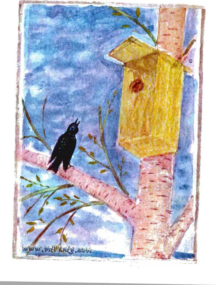 Солнце на дорожке - _10.jpg