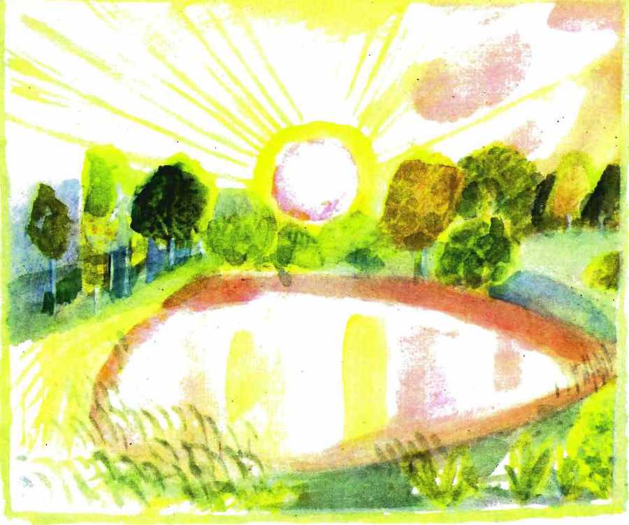 Солнце на дорожке - _24.jpg