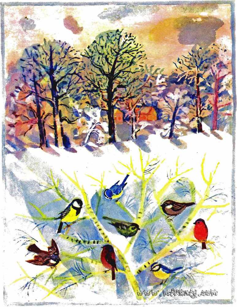 Солнце на дорожке - _3.jpg