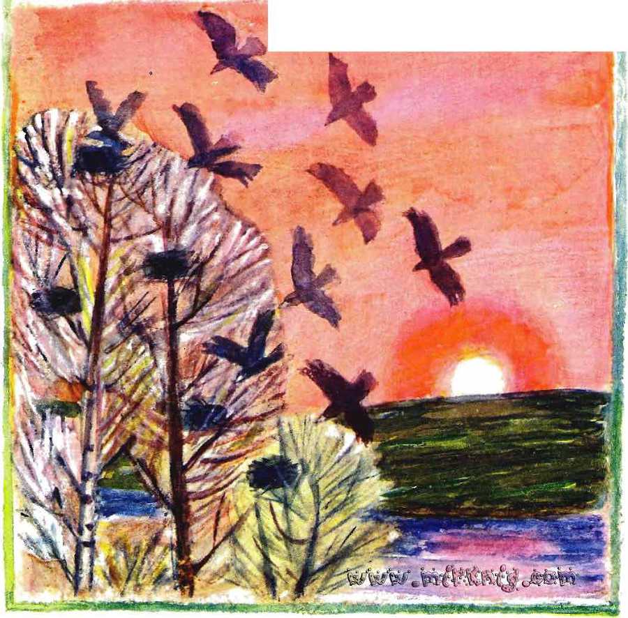 Солнце на дорожке - _12.jpg