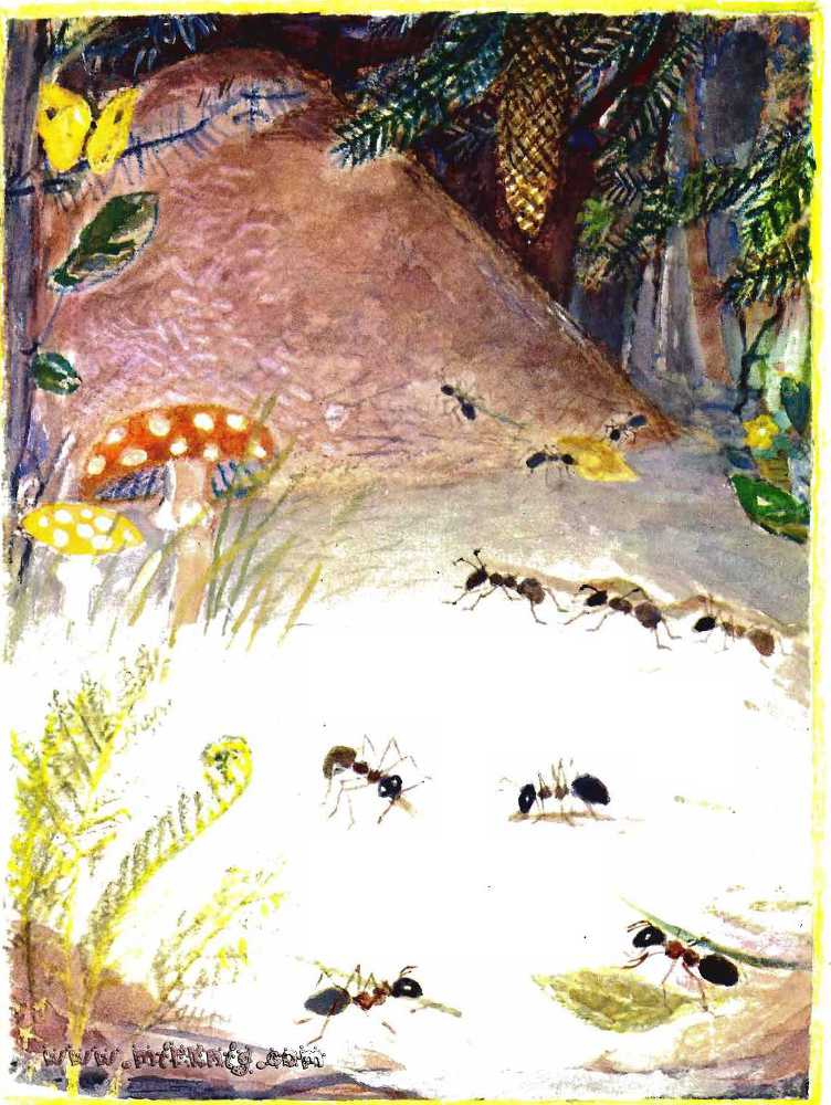 Солнце на дорожке - _34.jpg