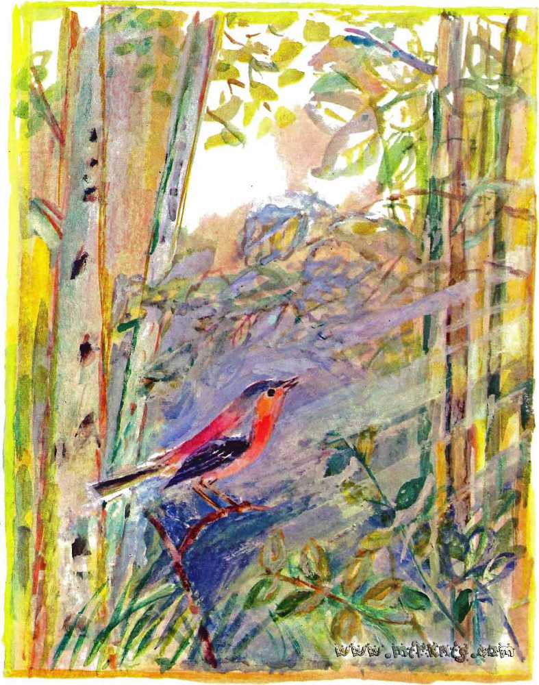 Солнце на дорожке - _23.jpg