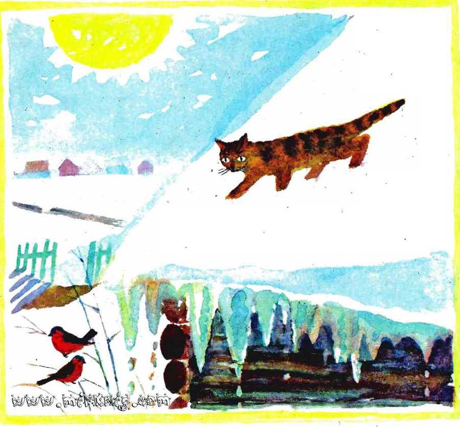 Солнце на дорожке - _6.jpg