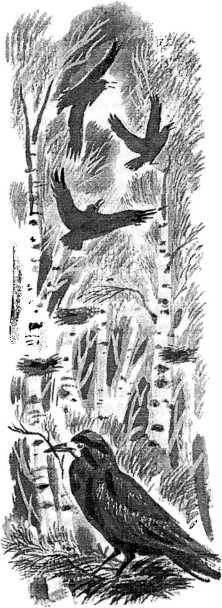 Смешные и печальные истории из жизни любителей ружейной охоты и ужения рыбы - i_027.jpg