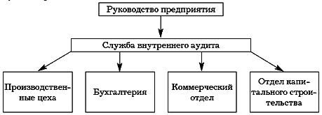 Внутренний аудит и контроль финансово-хозяйственной деятельности организации - pic_3.png