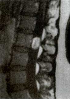 Прием у доктора Антипко - i_019.jpg