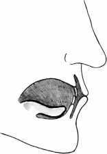 От сомнений к определенности. Опыт врача - i_004.jpg