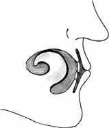 От сомнений к определенности. Опыт врача - i_005.jpg