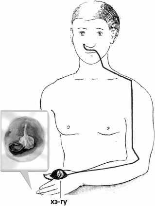 От сомнений к определенности. Опыт врача - i_006.jpg