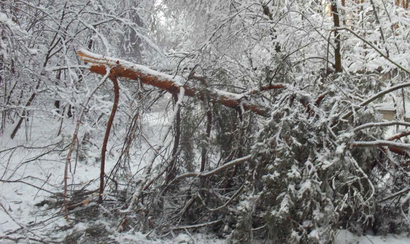 Возвращение блудного сына - i_015.jpg